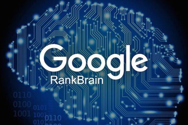 Rankbrain e Bert, il nuovo algoritmo di Google , per il posizionamento siti web