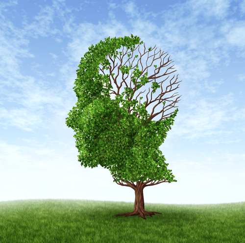 I consigli per comunicare una green company 