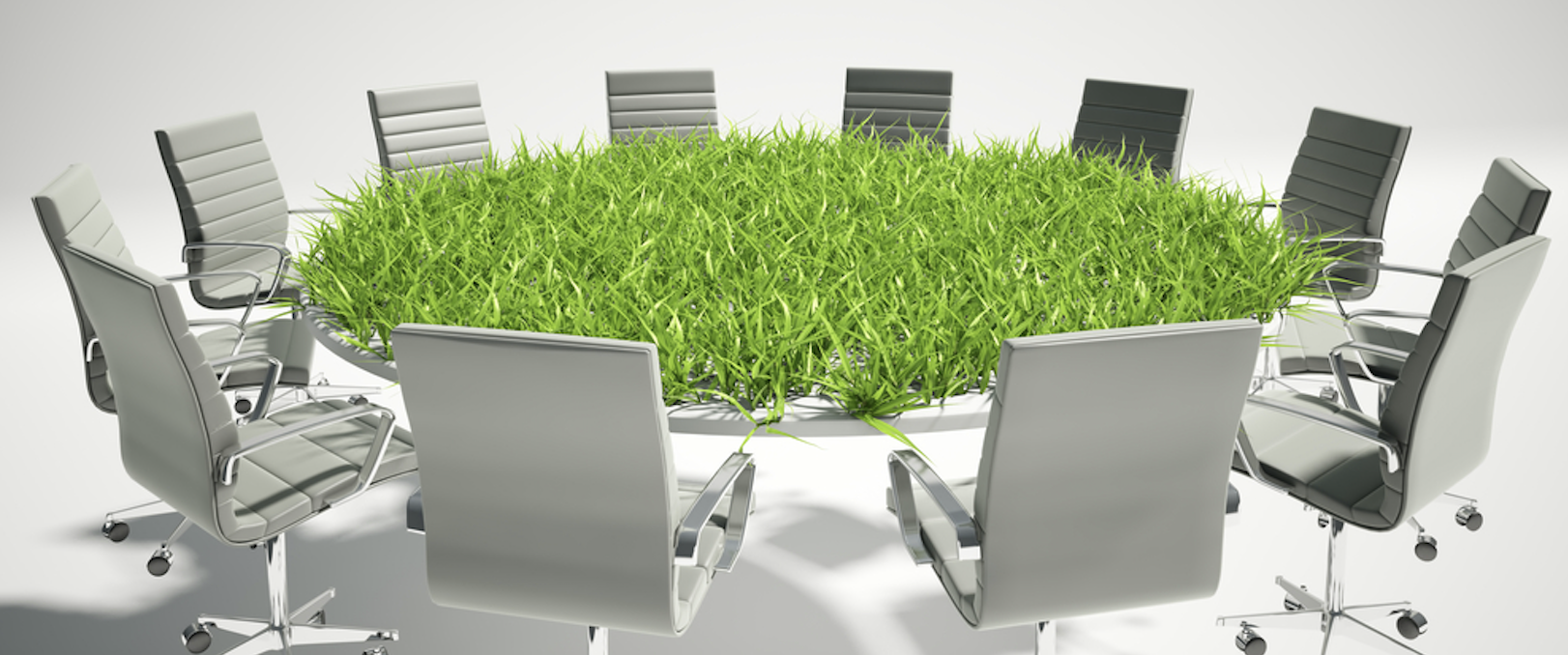 Scopri come comunicare una green company attraverso il green marketing