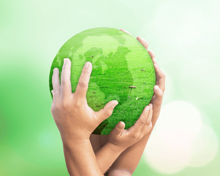 comunicare la sostenibilità delle aziende green