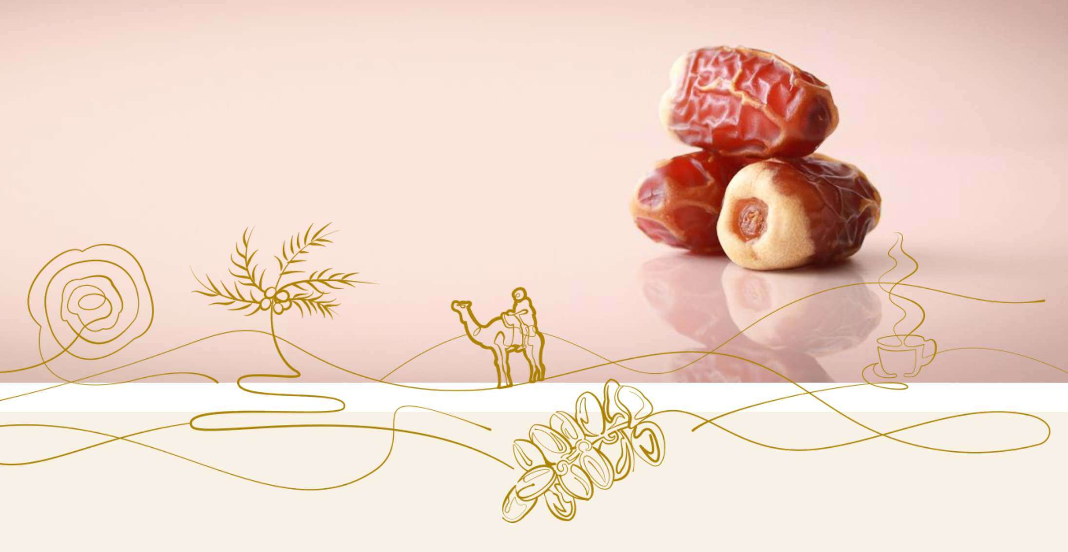packaging design