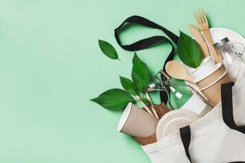 eco packaging