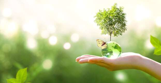 eco packaging