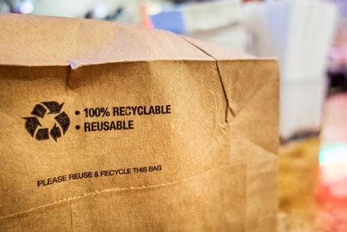 packaging ecologico