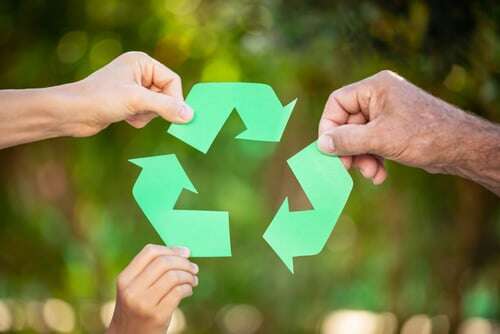 packaging ecologico