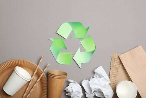 packaging design trend