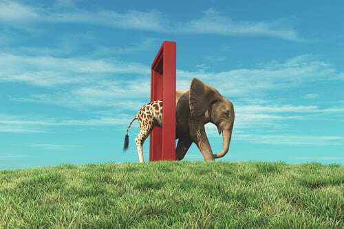 restyling e rebranding