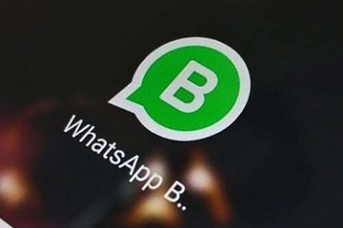 whatsapp business